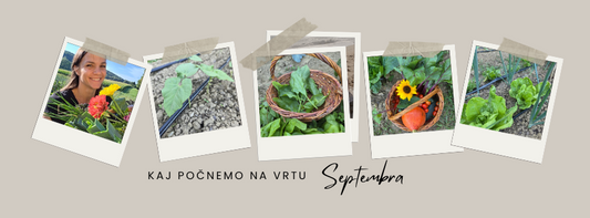 Kaj počnemo na vrtu septembra