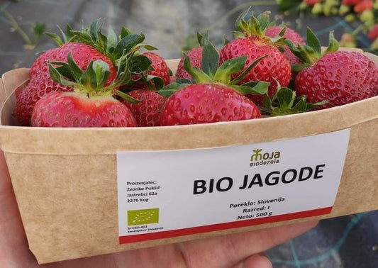 Jagode na domačem vrtu