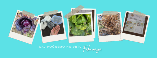 Kaj počnemo na vrtu februarja?