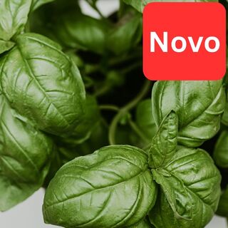 🎁 Bazilika Genovese (-100%)