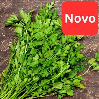 Peteršilj Apache/ Gigante d'Italia