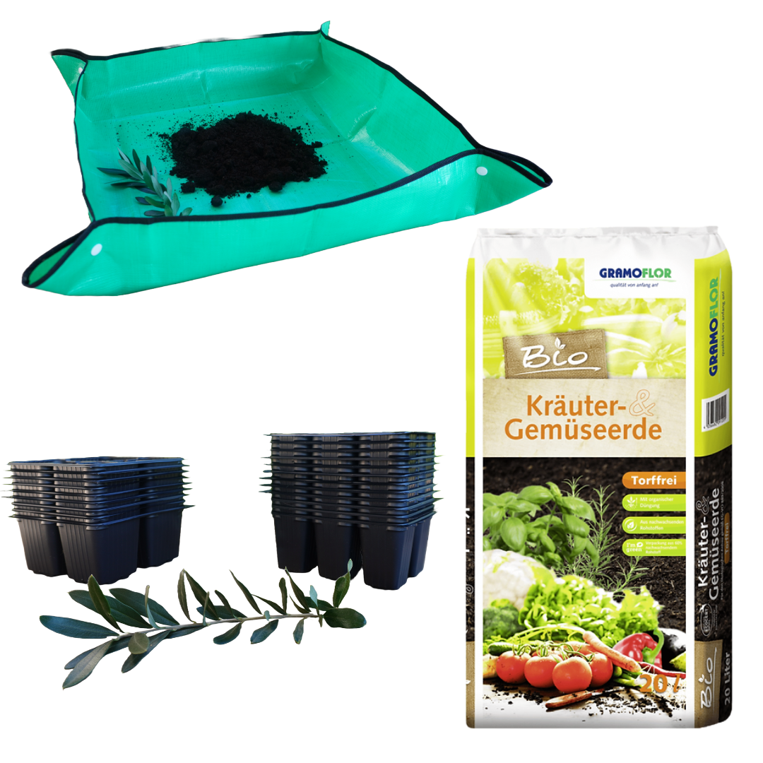 Sejalni paket (AKCIJA)