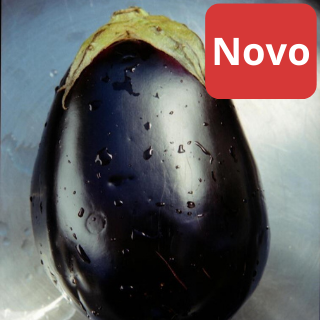 Jajčevec Perfection F1