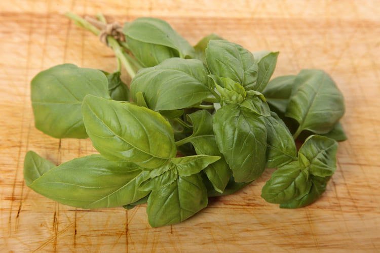 Bazilika Genovese