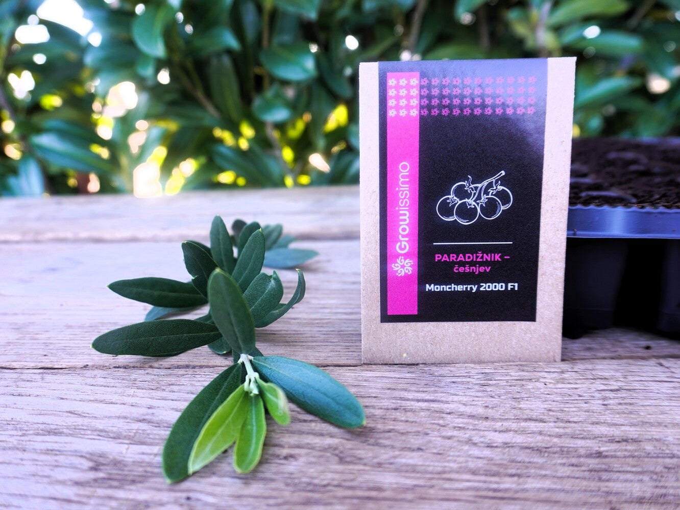 Paradižnik češnjev Moncherry 2000 F1