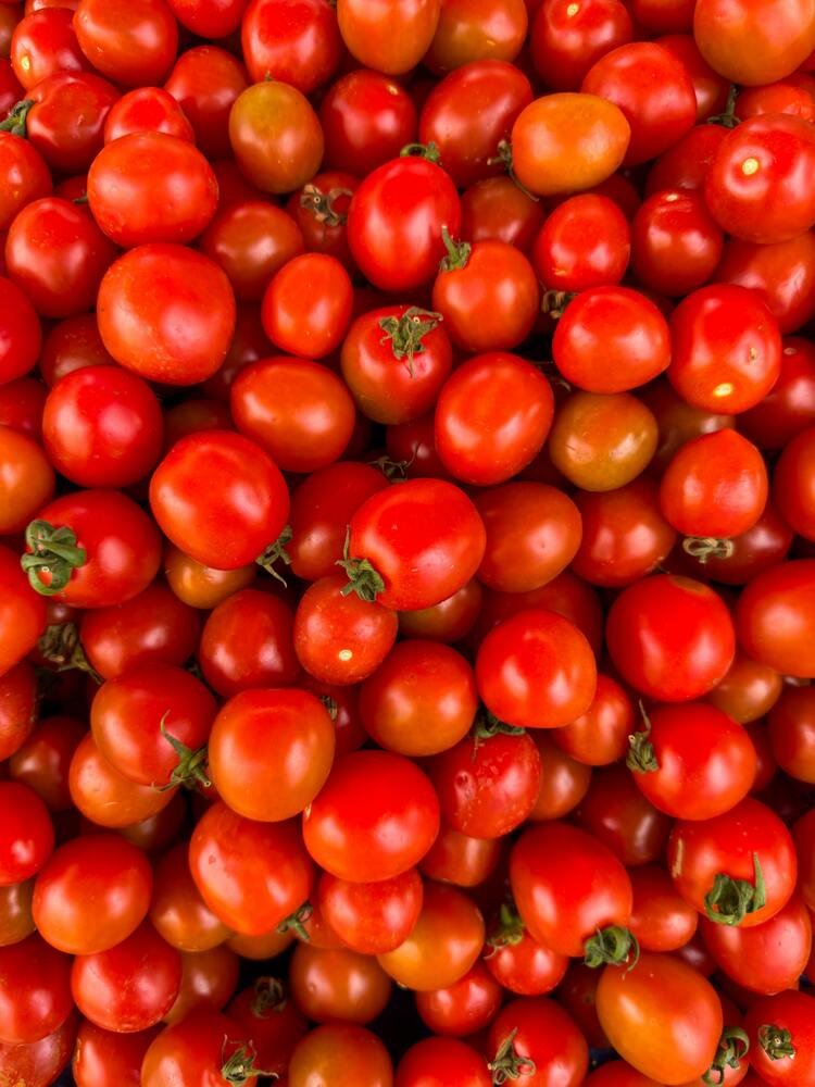 Paradižnik pelat Bakara F1