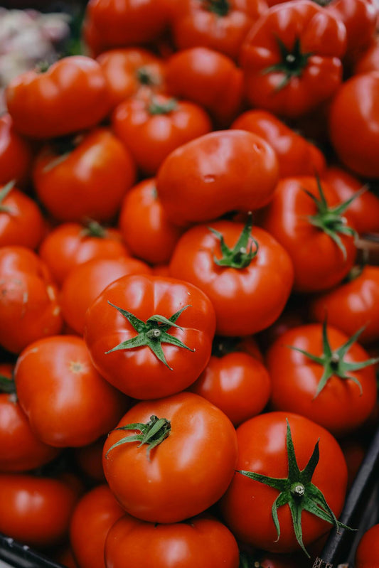 Paradižnik Montalban 2000 F1