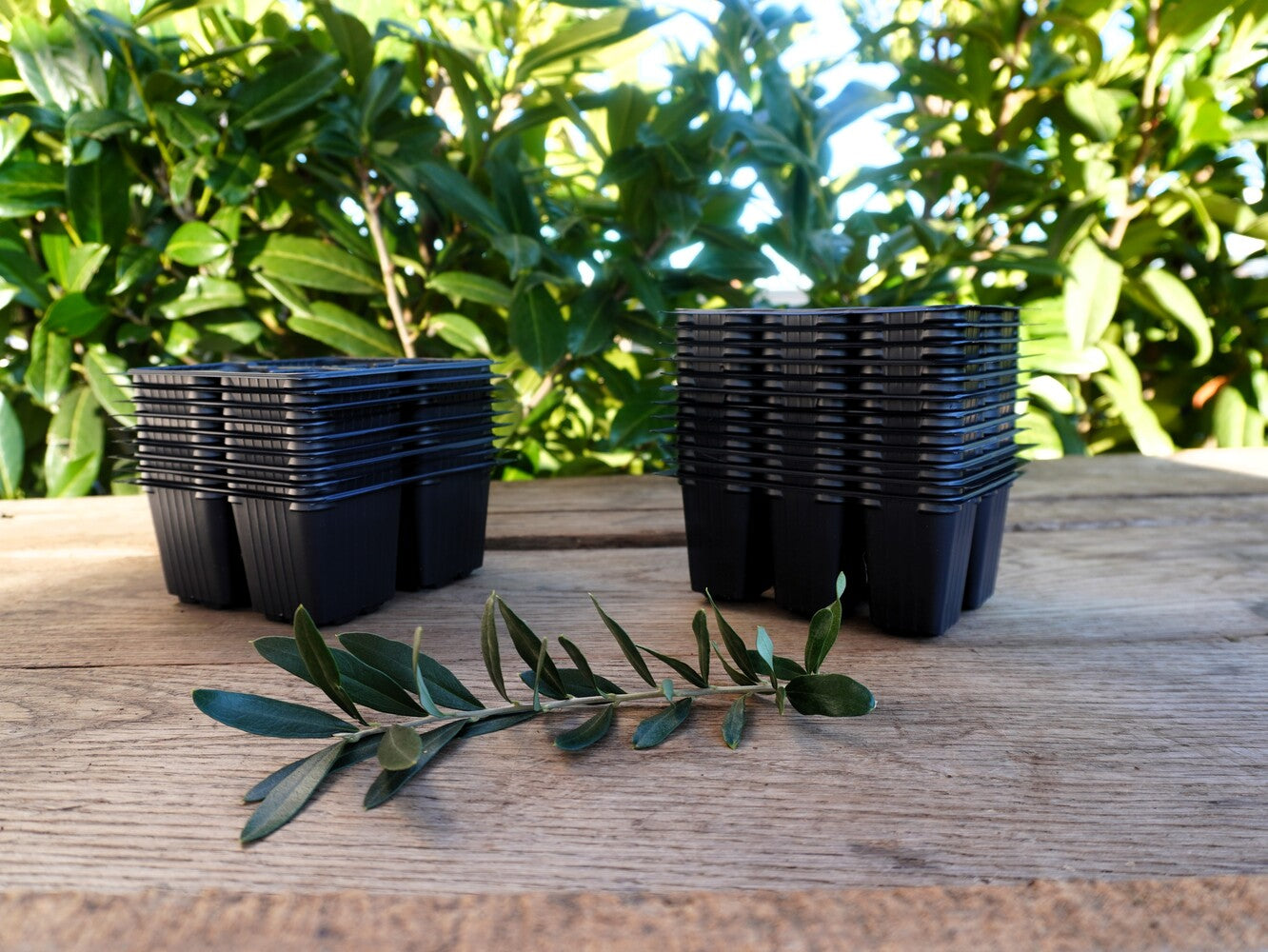 Komplet sejalnih plošč